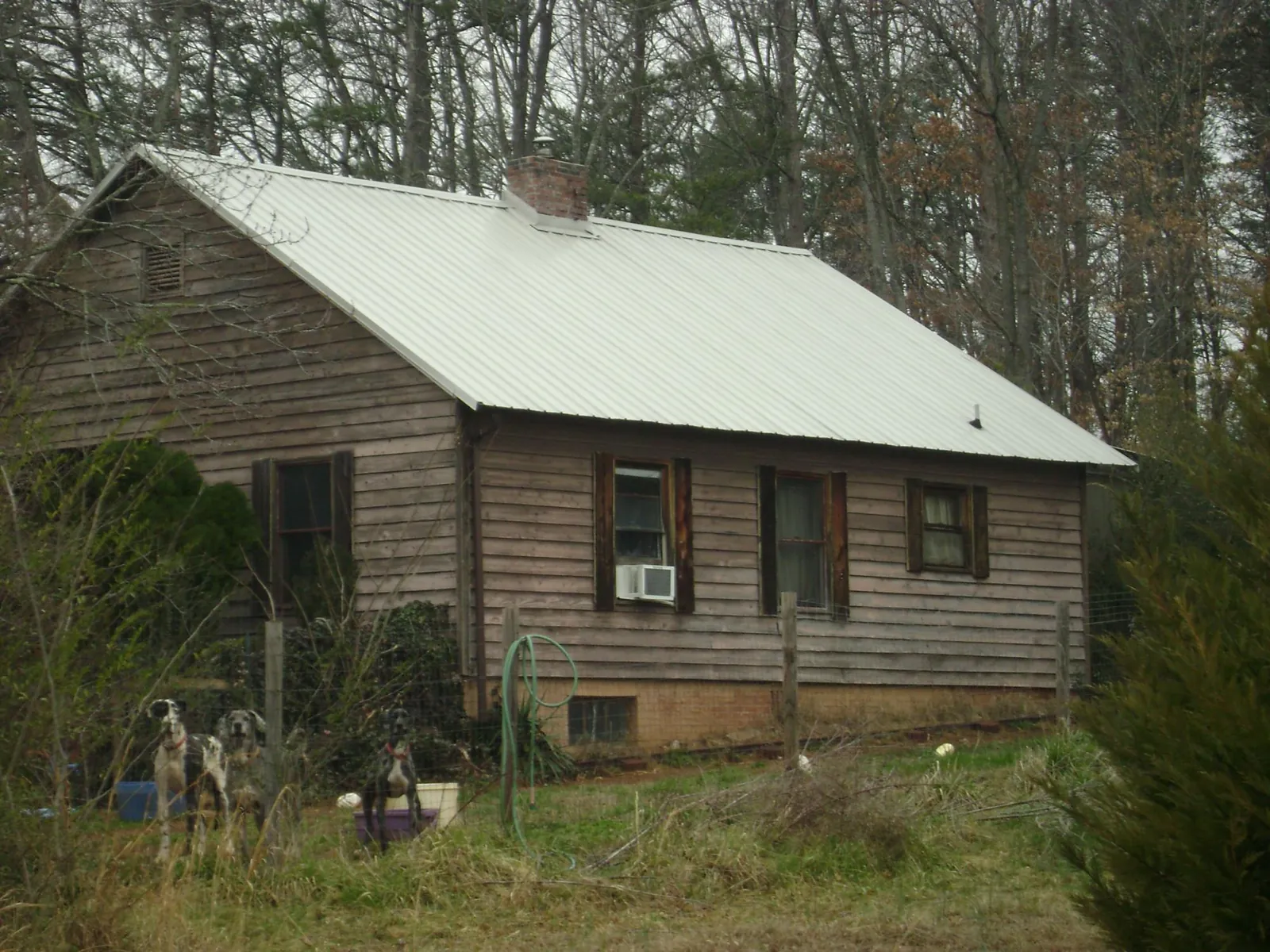 White metal roof on an old wood sided farmhouse, from a Asphalt Shingle Roof Repair job in Prescott